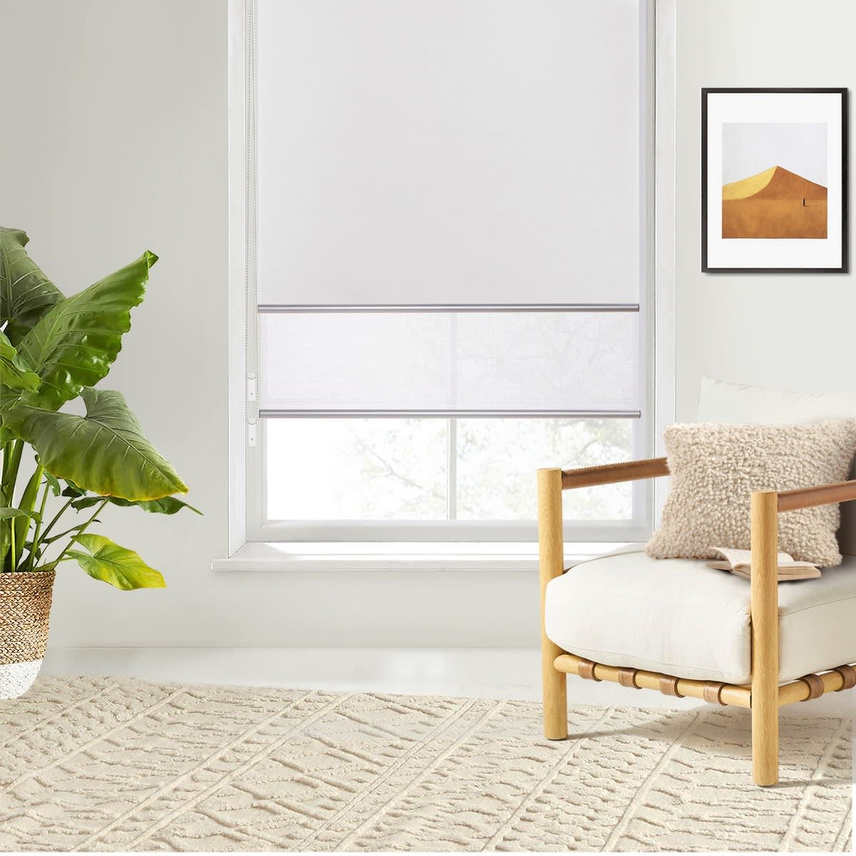 DUAL ROLLER BLINDS